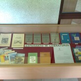 Literatura esperancka w MBP Krasnystaw